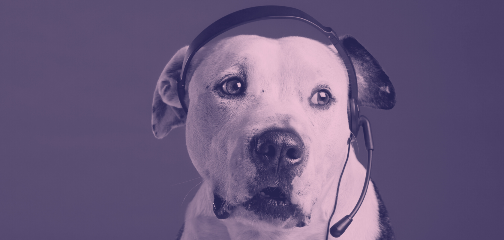 améliorer la relation client avec un CRM