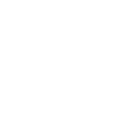 Icône réseau social